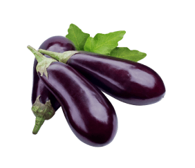 eggplants