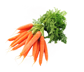 carrot